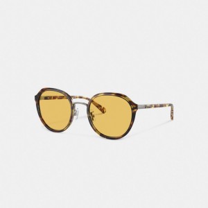 Coach Hangtag Geometric Round Honey Zonnebril Dames Oranje | NL_CH44703