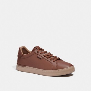 Coach Lowline Low Top Sneakers Heren Bruin | NL_CH89793